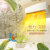 GREE（GREE）北京韻定速冷房室外機KFR-50 GW/AaD 3